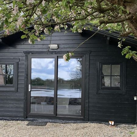 The Cosy Cabin By The Shore Γκάλγουεϊ Εξωτερικό φωτογραφία