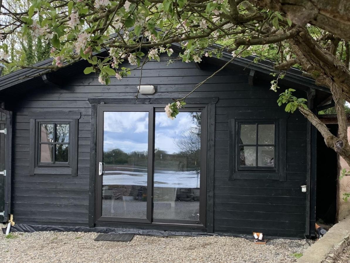 The Cosy Cabin By The Shore Γκάλγουεϊ Εξωτερικό φωτογραφία